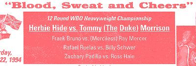 Ad for Blood, Sweat and Cheers - WBO Heavyweight Championship